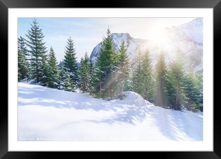 Sun rays through snowy mountains and trees Framed Mounted Print by Daniela Simona Temneanu
