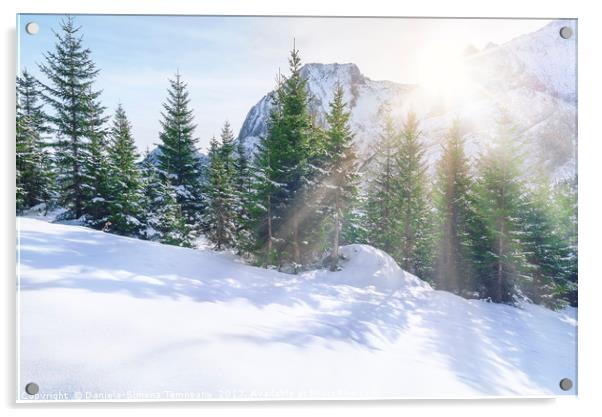 Sun rays through snowy mountains and trees Acrylic by Daniela Simona Temneanu
