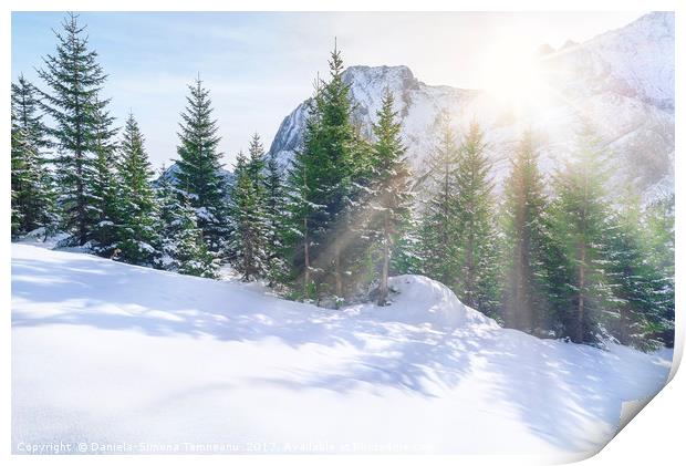 Sun rays through snowy mountains and trees Print by Daniela Simona Temneanu