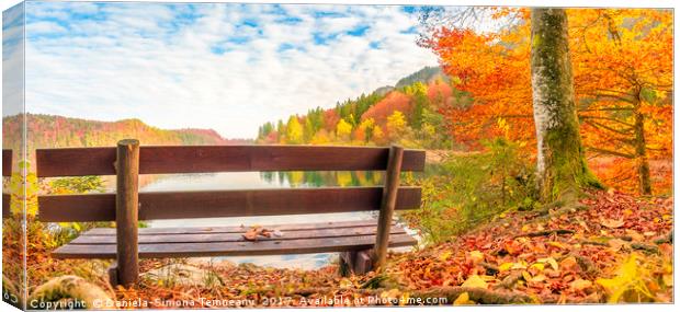 Wooden bench in an autumn landscape Canvas Print by Daniela Simona Temneanu