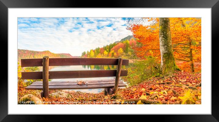 Wooden bench in an autumn landscape Framed Mounted Print by Daniela Simona Temneanu