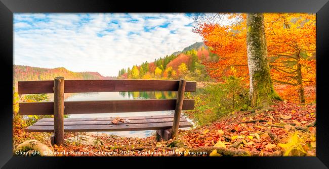 Wooden bench in an autumn landscape Framed Print by Daniela Simona Temneanu