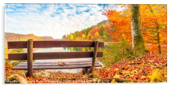 Wooden bench in an autumn landscape Acrylic by Daniela Simona Temneanu