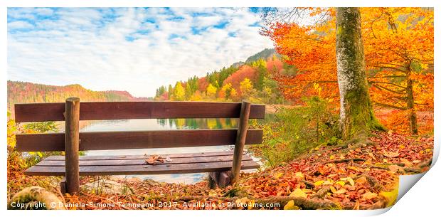 Wooden bench in an autumn landscape Print by Daniela Simona Temneanu