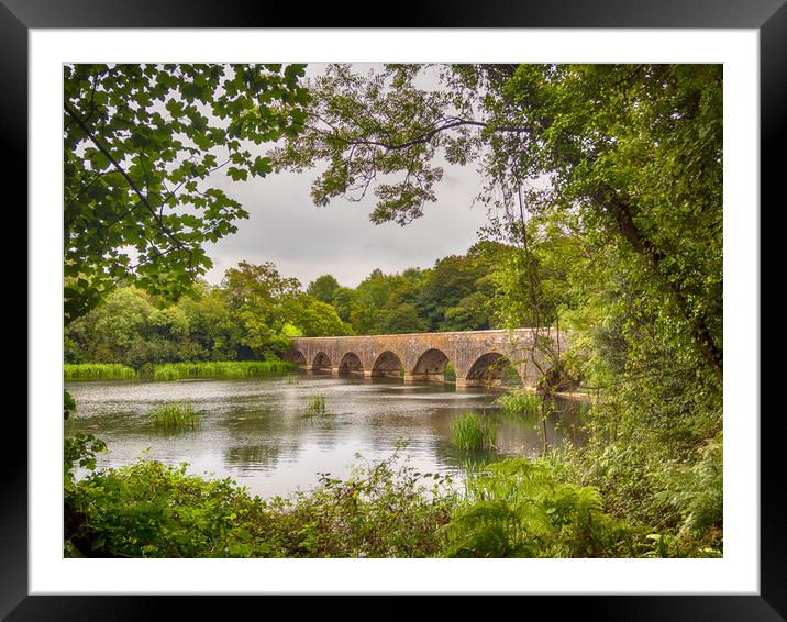 The Eight Arch Bridge at Bosherston. Framed Mounted Print by Colin Allen