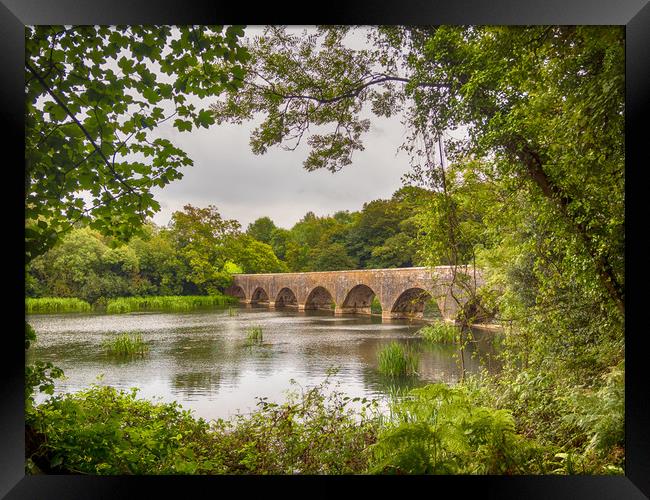 The Eight Arch Bridge at Bosherston. Framed Print by Colin Allen