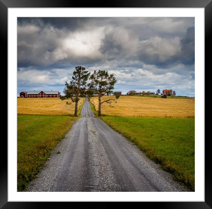 Autumn in Östersund Framed Mounted Print by Hamperium Photography
