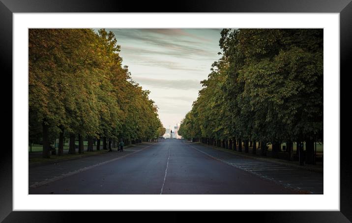 Tree Lined Avenue Framed Mounted Print by Neal P