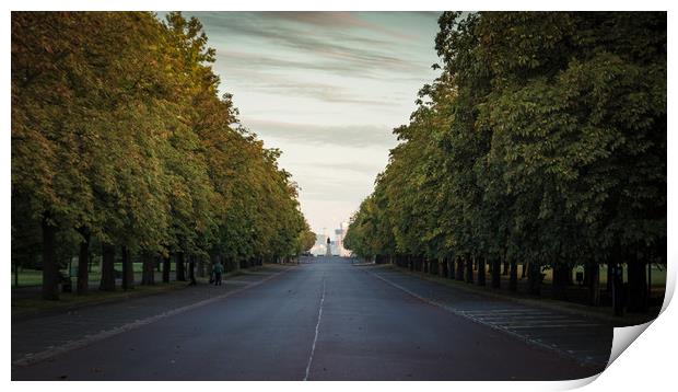 Tree Lined Avenue Print by Neal P