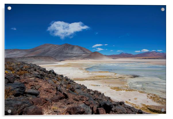 Atacama Salt Lake Acrylic by David Hare
