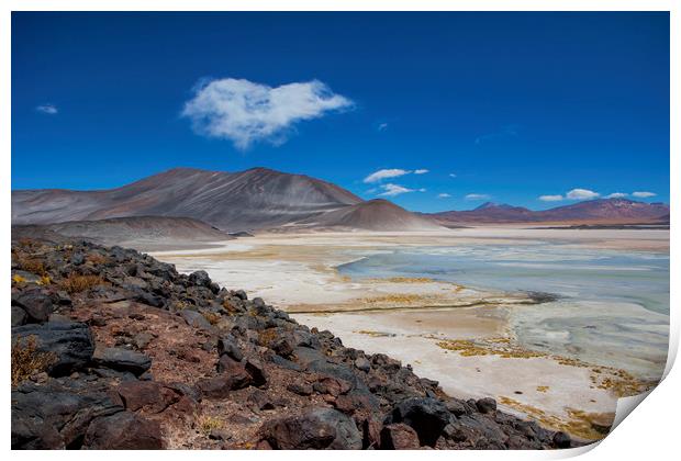 Atacama Salt Lake Print by David Hare