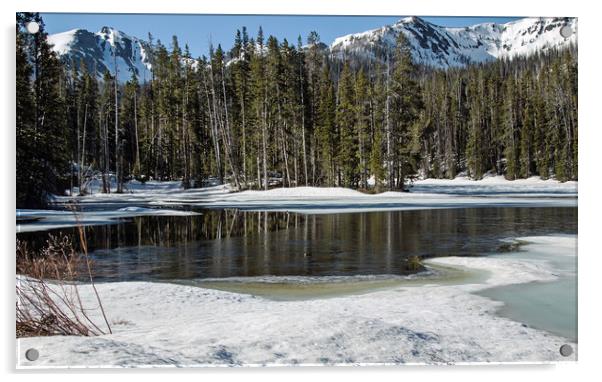Frozen River High in Rockies Acrylic by Janet Mann