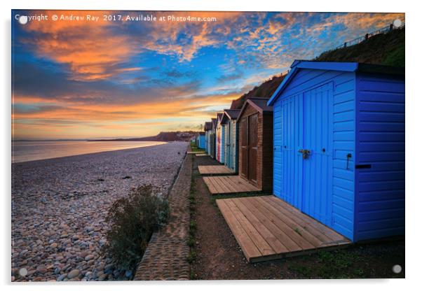 Beach Huts at Budleigh Salterton Acrylic by Andrew Ray