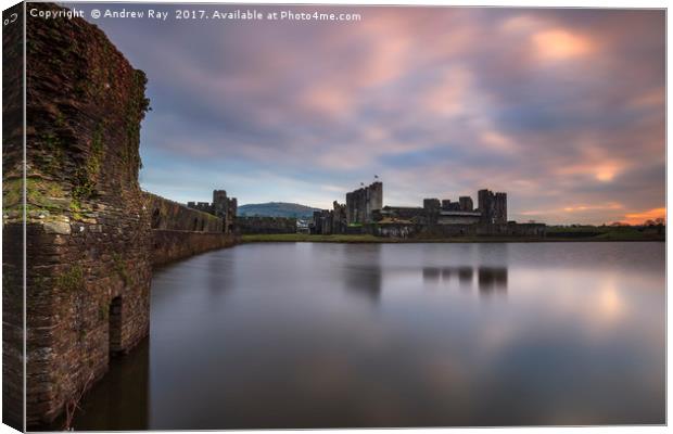 Evening Reflections (Caerphilly) Canvas Print by Andrew Ray