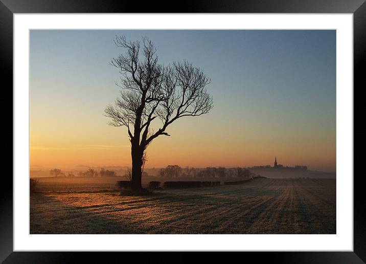 Country Morning Framed Mounted Print by Neil Gavin