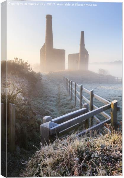 Frosty Morning (Wheal Bush) Canvas Print by Andrew Ray