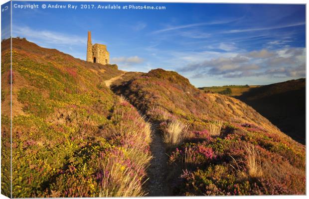 Path to Tywarnhayle Canvas Print by Andrew Ray