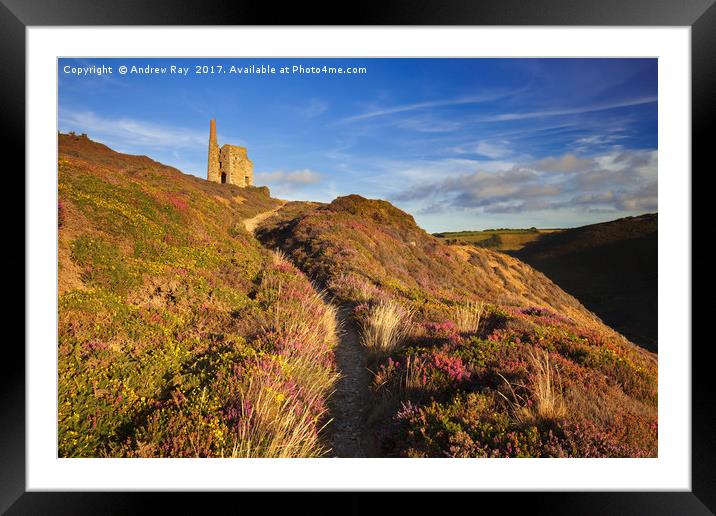 Path to Tywarnhayle Framed Mounted Print by Andrew Ray