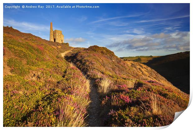 Path to Tywarnhayle Print by Andrew Ray