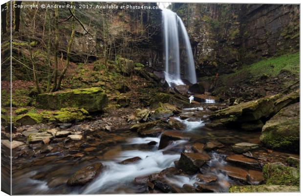 Towards Melincourt Waterfall Canvas Print by Andrew Ray