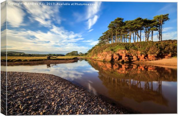 Tree's at Budleigh Salterton Canvas Print by Andrew Ray