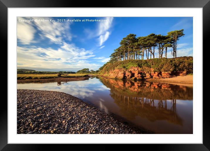 Tree's at Budleigh Salterton Framed Mounted Print by Andrew Ray
