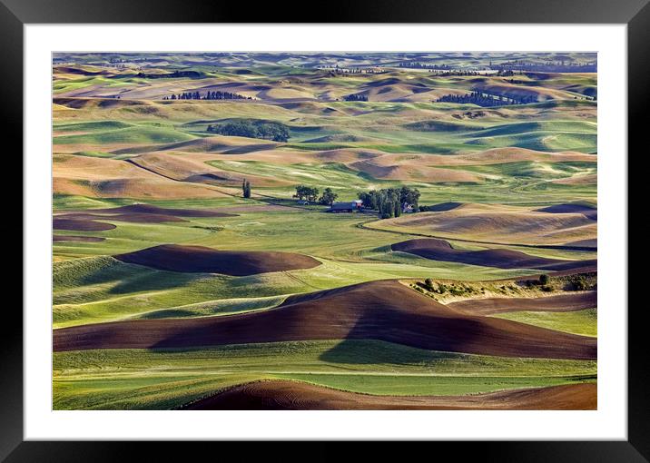 The Palouse landscape in Washington State Framed Mounted Print by Luc Novovitch