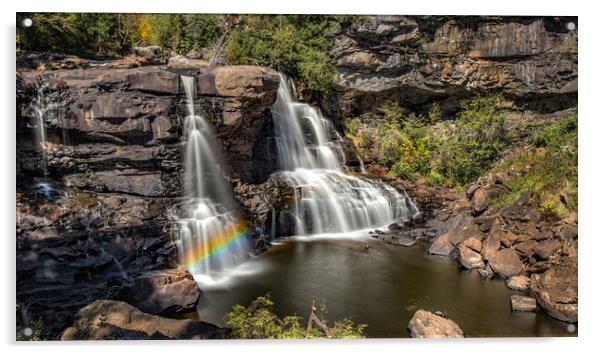 Blackwater Falls Acrylic by Nataliya Dubrovskaya