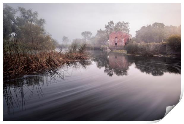 Stour Ruins Print by Chris Frost