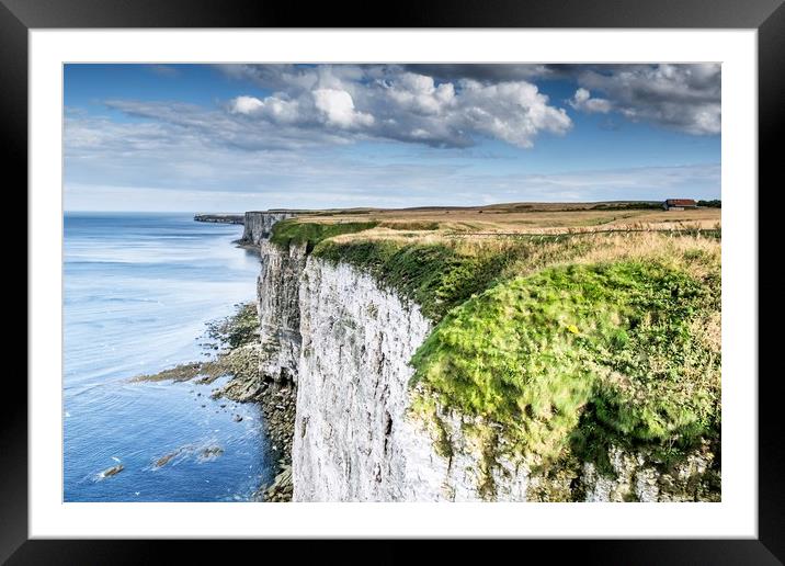 Flamborough Cliffs 1 Framed Mounted Print by Jason Moss