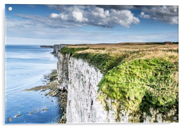 Flamborough Cliffs 1 Acrylic by Jason Moss