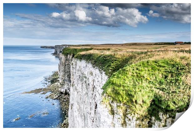 Flamborough Cliffs 1 Print by Jason Moss