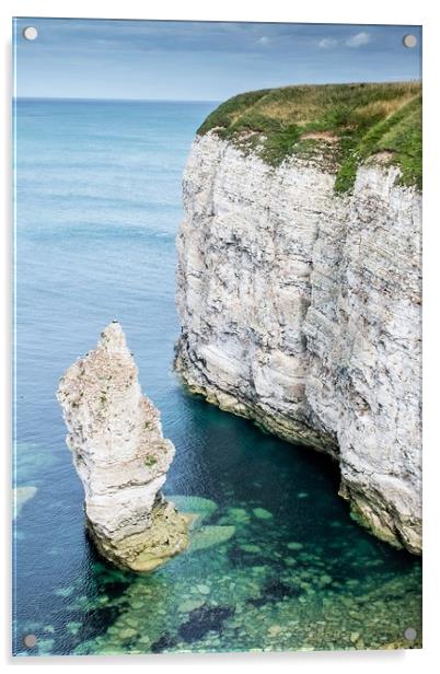 Flamborough Cliffs 2 Acrylic by Jason Moss