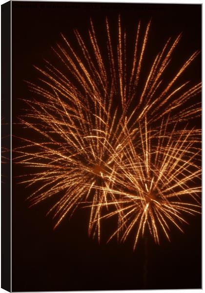 FIREWORK OPEN Canvas Print by andrew saxton
