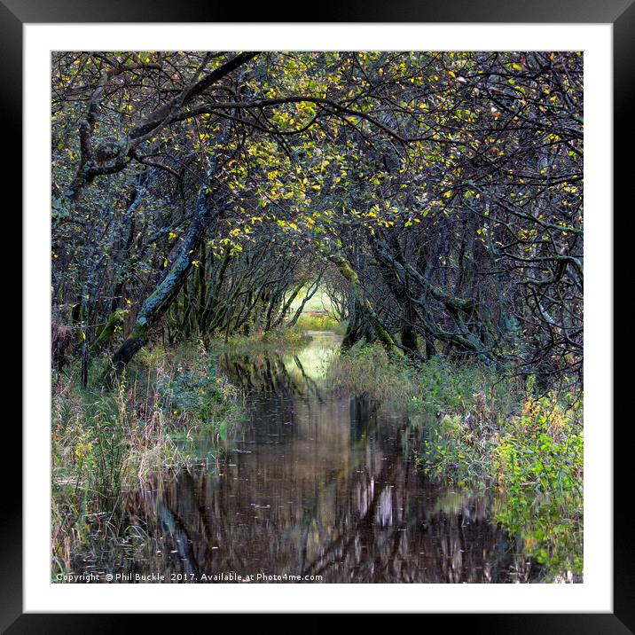 Crow Park Light Framed Mounted Print by Phil Buckle