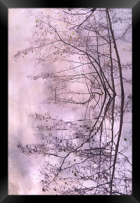 Tranquility Framed Print by Ann Garrett