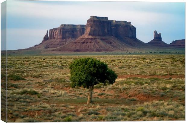 Tree in Monument Valley Canvas Print by Luc Novovitch