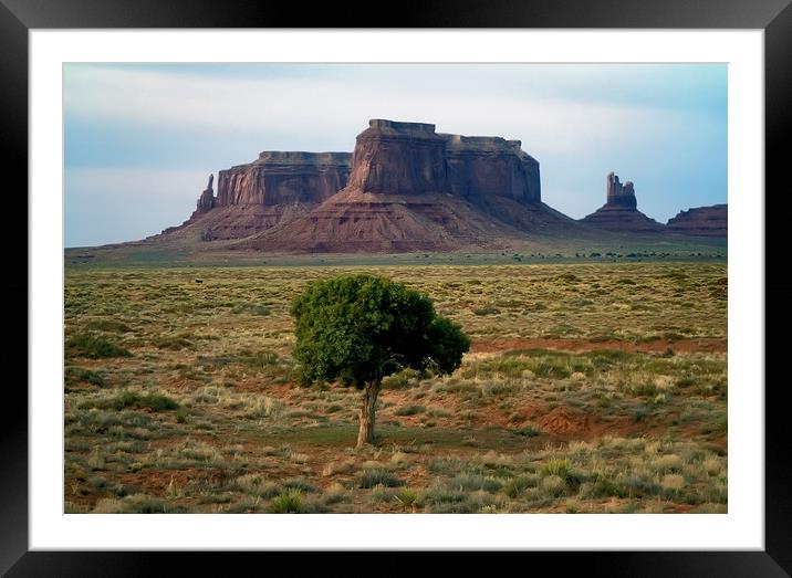Tree in Monument Valley Framed Mounted Print by Luc Novovitch