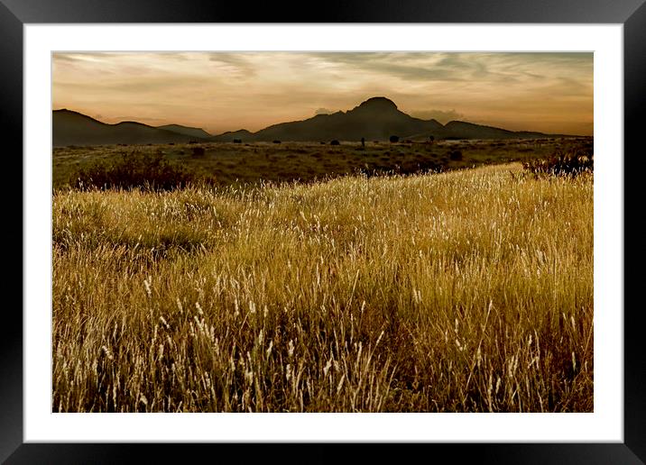 Cathedral Mountain at sunset Framed Mounted Print by Luc Novovitch