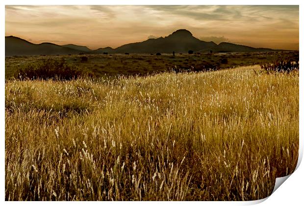 Cathedral Mountain at sunset Print by Luc Novovitch