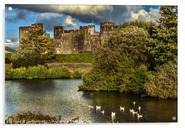 Caerphilly Castle Western Towers Acrylic by Ian Lewis