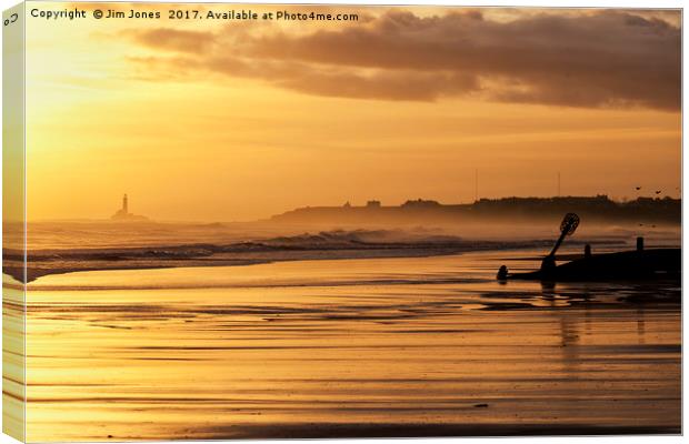 Copper Coloured Morning Canvas Print by Jim Jones