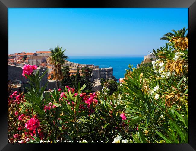 Dubrovnik Old Town Framed Print by Tom Lightowler