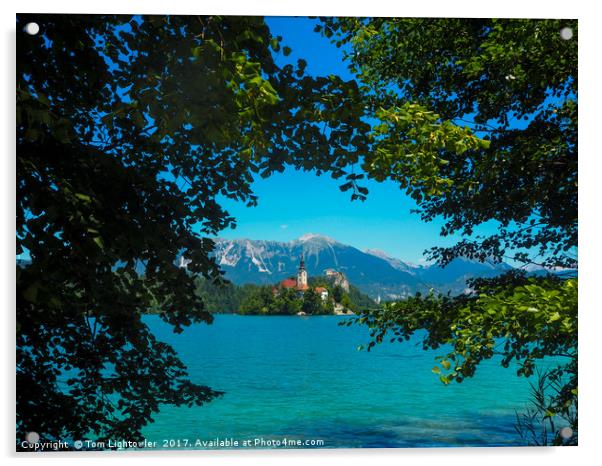 Lake Bled Slovenia Acrylic by Tom Lightowler