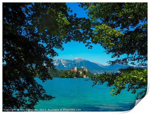 Lake Bled Slovenia Print by Tom Lightowler