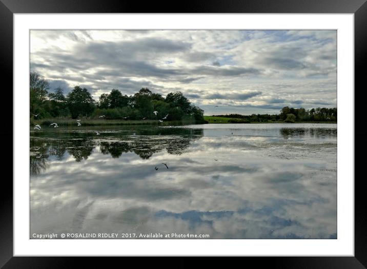 "Clouds make water , water makes clouds" Framed Mounted Print by ROS RIDLEY