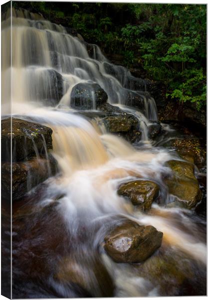 East Gill Force, Keld , Yorkshire Dales Canvas Print by Andrew Kearton