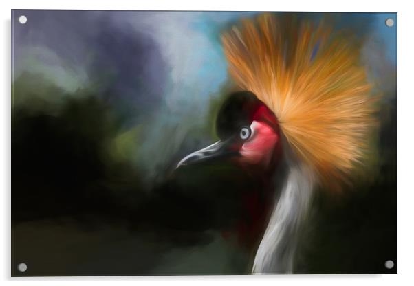 African Crane Acrylic by David Owen