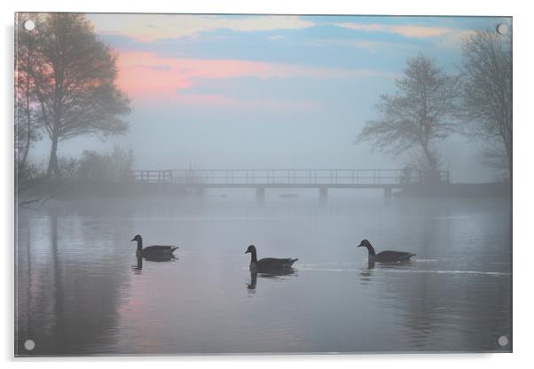 Earlswood Lakes, Warwickshire  Acrylic by Jonathan Smith