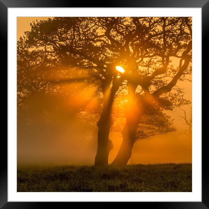 Brecon Beacons, Wales stunning misty sunrise Framed Mounted Print by Jonathan Smith
